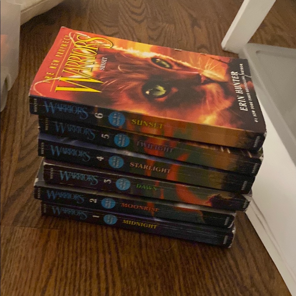 Warriors Book Series Set